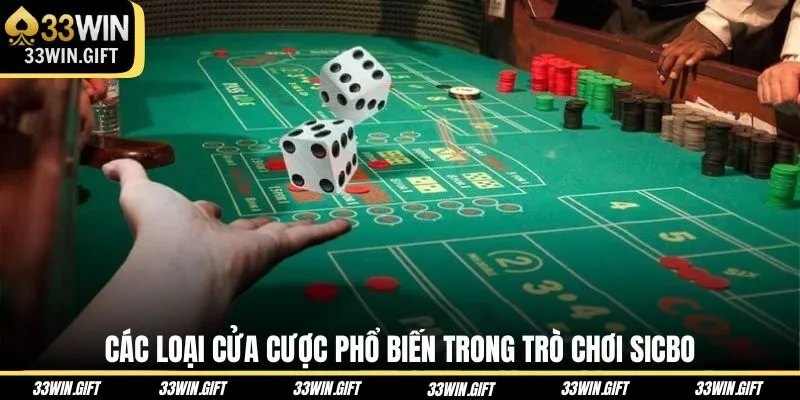 cac-loai-cua-cuoc-pho-bien-trong-tro-choi-sicbo