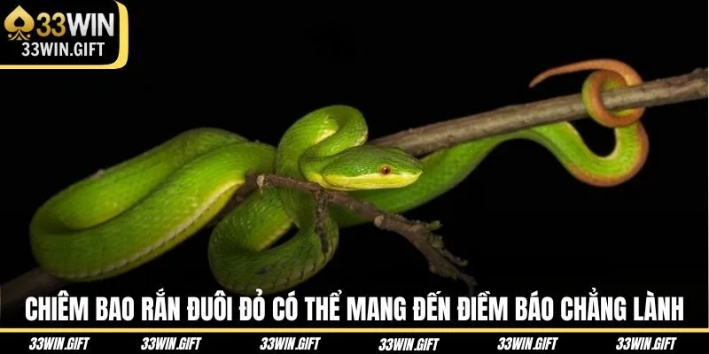 chiem-bao-ran-duoi-do-co-the-mang-den-diem-bao-chang-lanh