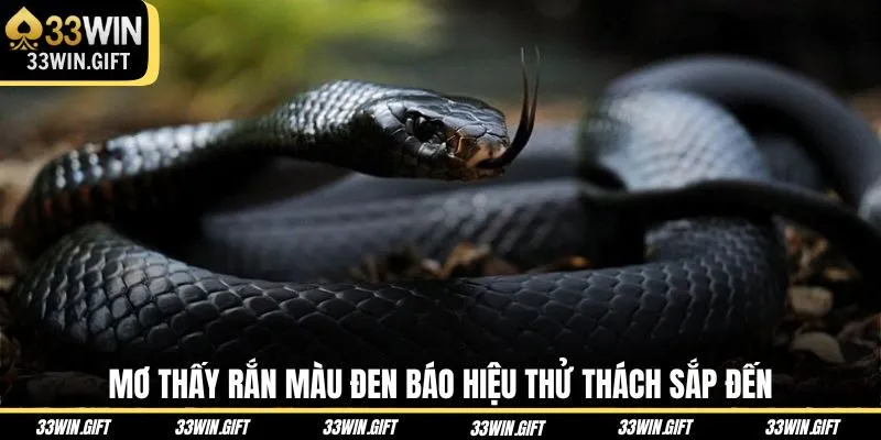 mo-thay-ran-mau-den-bao-hieu-thu-thach-sap-den