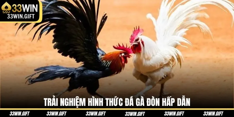 trai-nghiem-hinh-thuc-da-ga-don-hap-dan